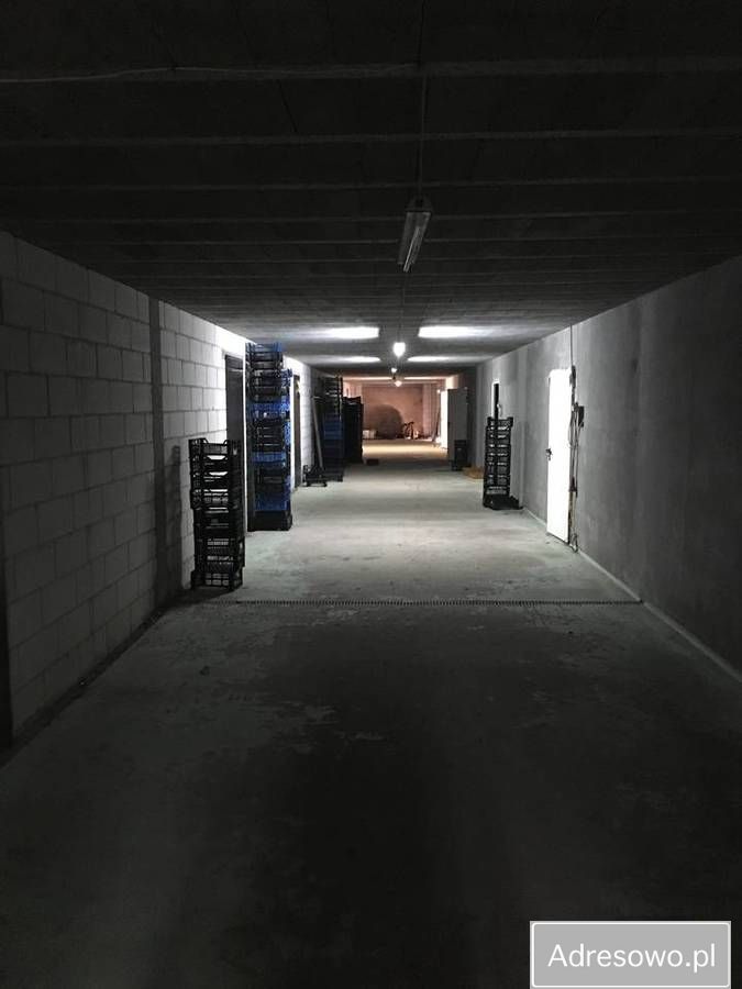 Hala/magazyn Rokitno Szlacheckie, ul. Tadeusza Kościuszki. Zdjęcie 6