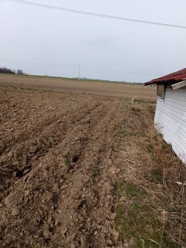 Działka Sieciechowice. Zdjęcie 7