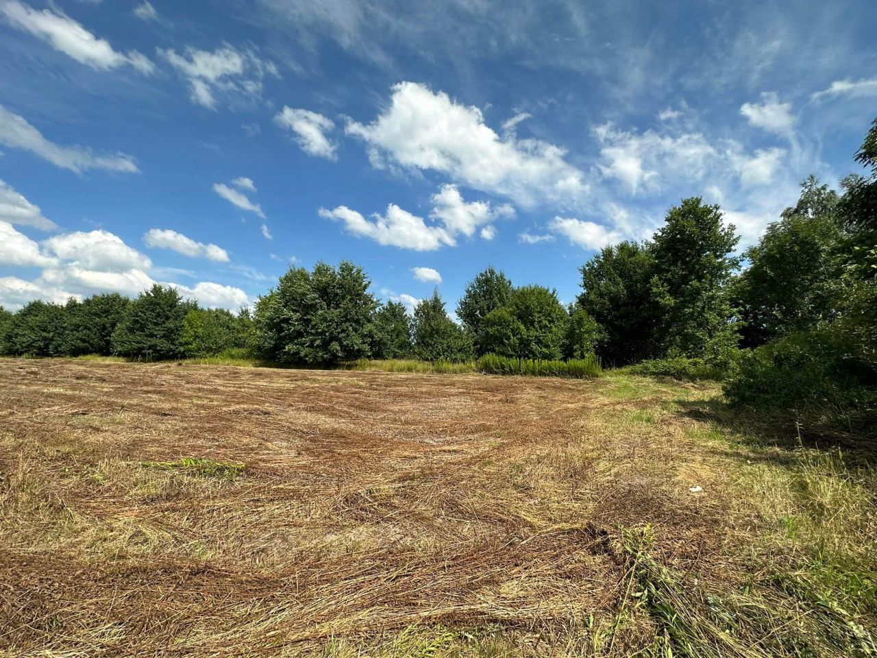 Działka budowlana Wygoda. Zdjęcie 5