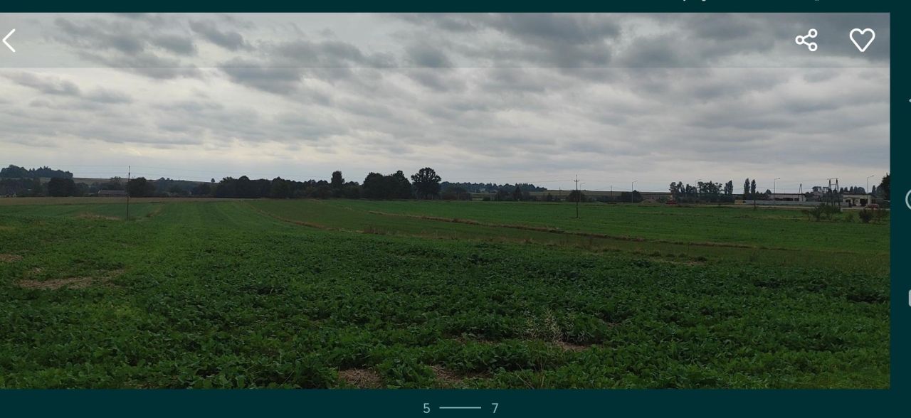 Działka rolno-budowlana Zielona. Zdjęcie 5