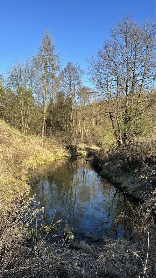 Działka inwestycyjna Bałtów. Zdjęcie 5