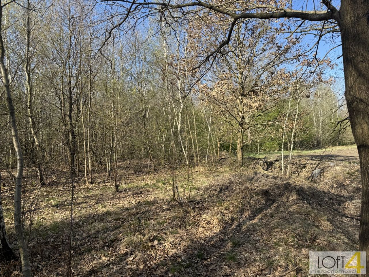 Działka budowlana Radłów. Zdjęcie 15