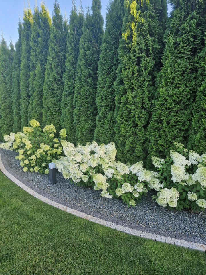 dom wolnostojący, 4 pokoje Serock, ul. Wyzwolenia. Zdjęcie 45