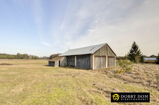 dom wolnostojący, 8 pokoi Strzelcowizna. Zdjęcie 3