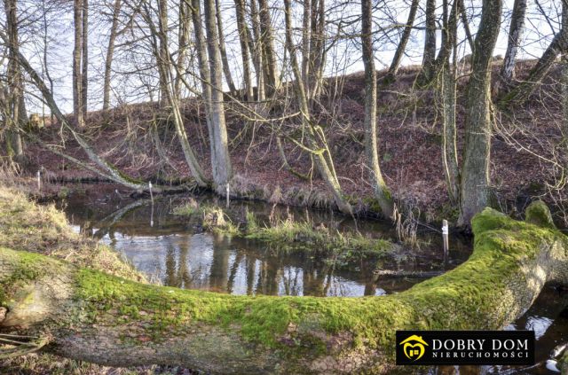dom wolnostojący, 2 pokoje Kropiwne Stare. Zdjęcie 4