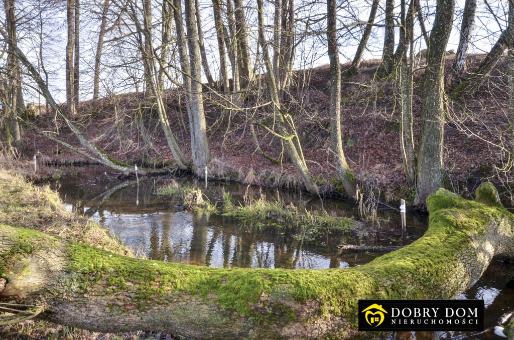 dom wolnostojący, 2 pokoje Kropiwne Stare. Zdjęcie 4