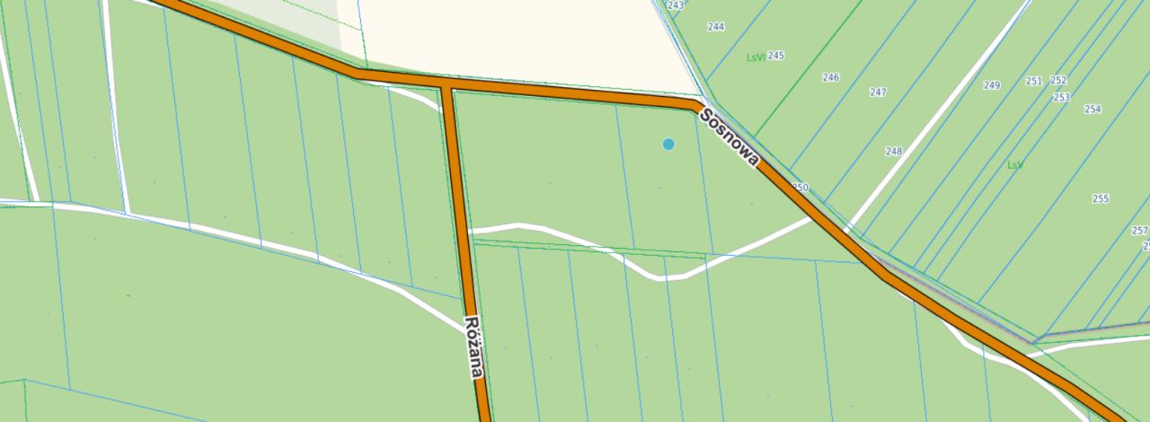 Działka rekreacyjna Mirowice, ul. Sosnowa. Zdjęcie 2