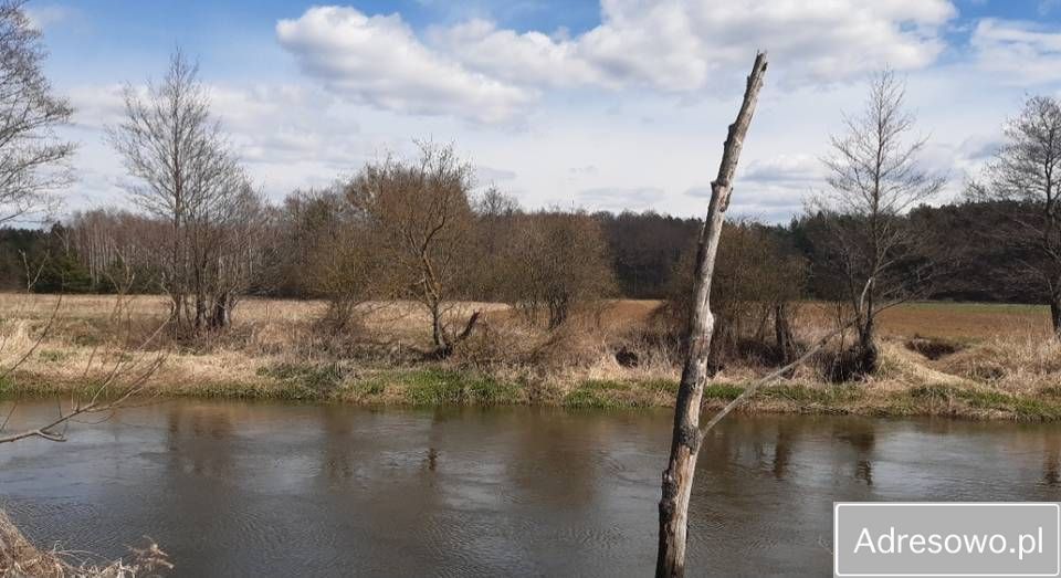 Działka rolna Brzóza. Zdjęcie 7