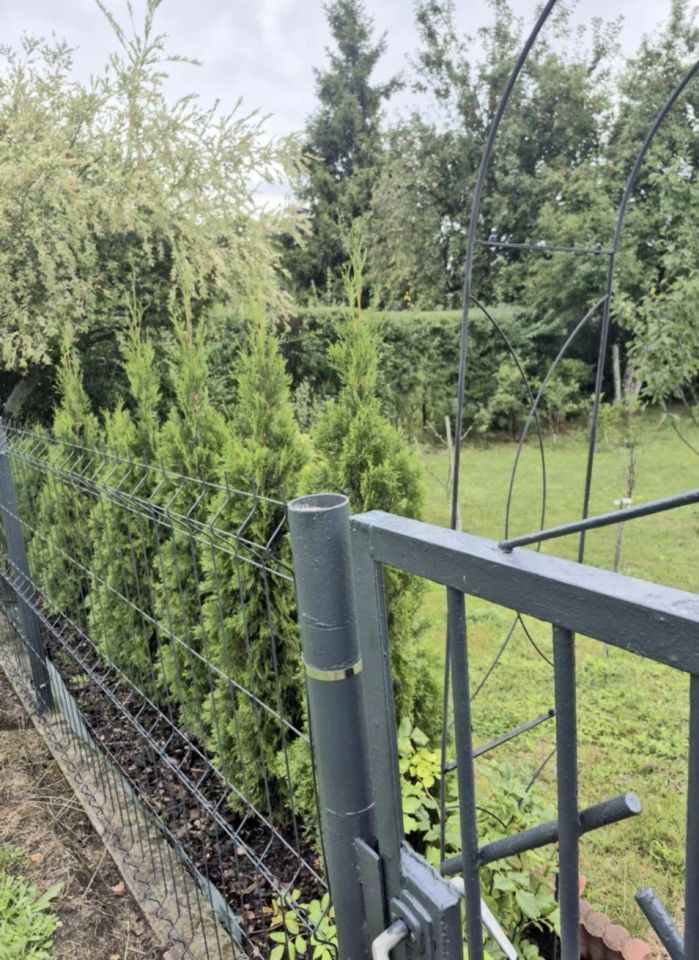 Działka rekreacyjna Zabrze, ul. Opawska. Zdjęcie 8