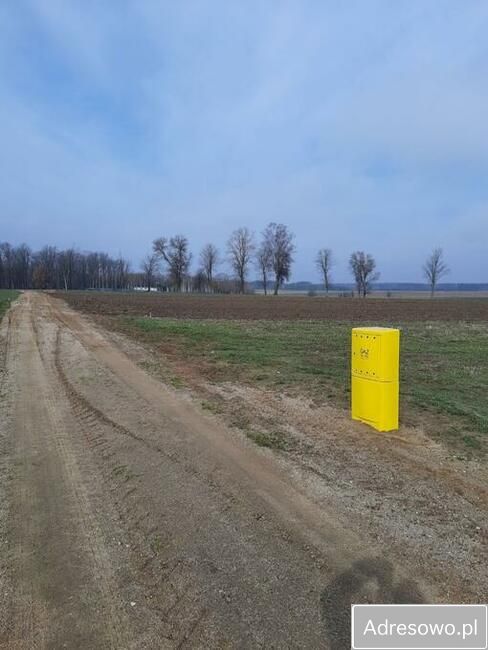 Działka rolno-budowlana Czartajew. Zdjęcie 2