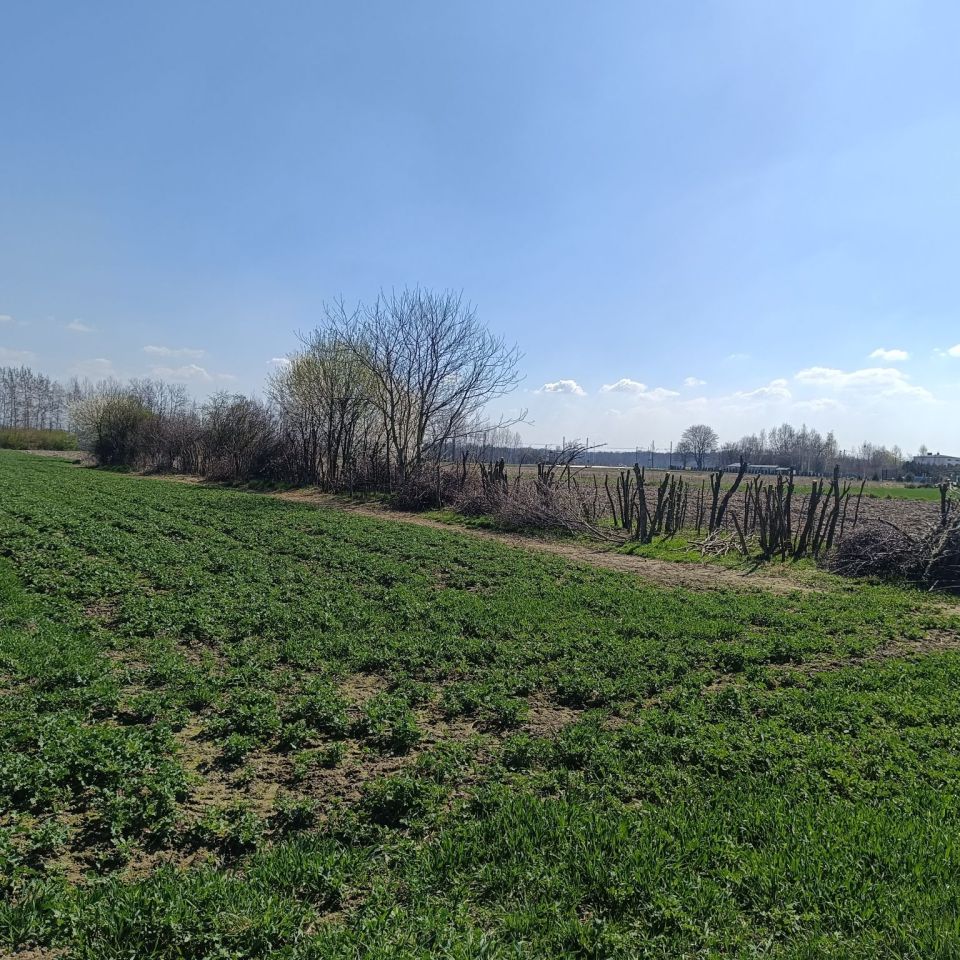 Działka budowlana Przyszowice, ul. Rolna. Zdjęcie 2