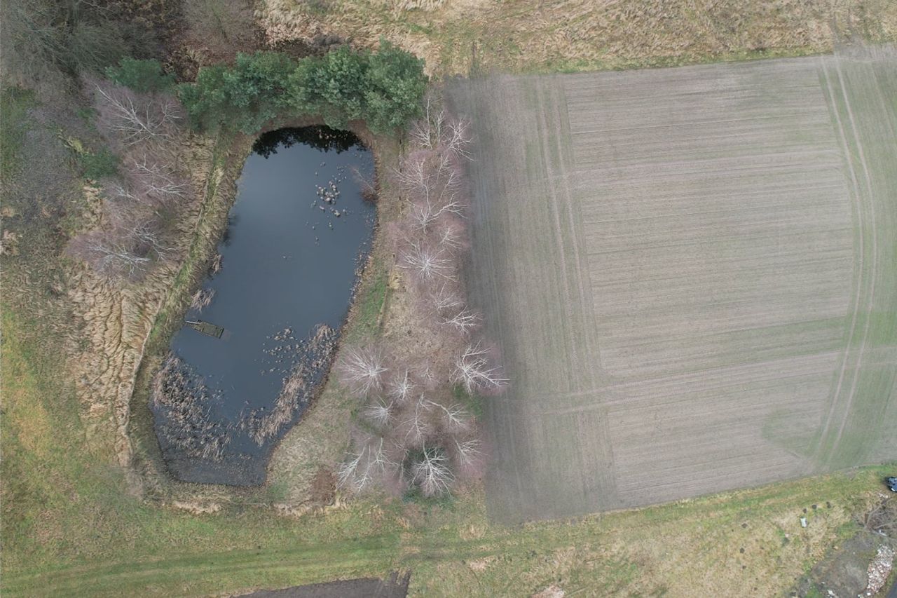 Działka budowlana Korzeńsko, ul. Chodlewska. Zdjęcie 14