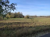 Działka rolna Zaryń. Zdjęcie 4