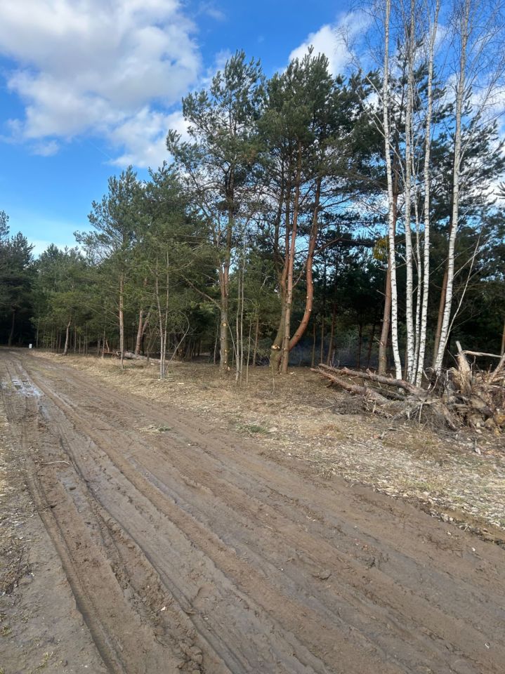 Działka budowlana Jesionka. Zdjęcie 5