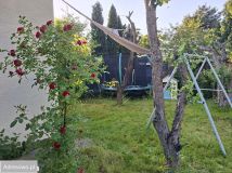 Działka rod Czeladź Piaski. Zdjęcie 4