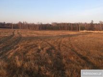 Działka rolna Holendry Dobrowskie. Zdjęcie 2
