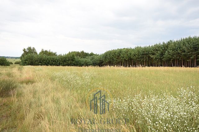 Działka siedliskowa Górka. Zdjęcie 7