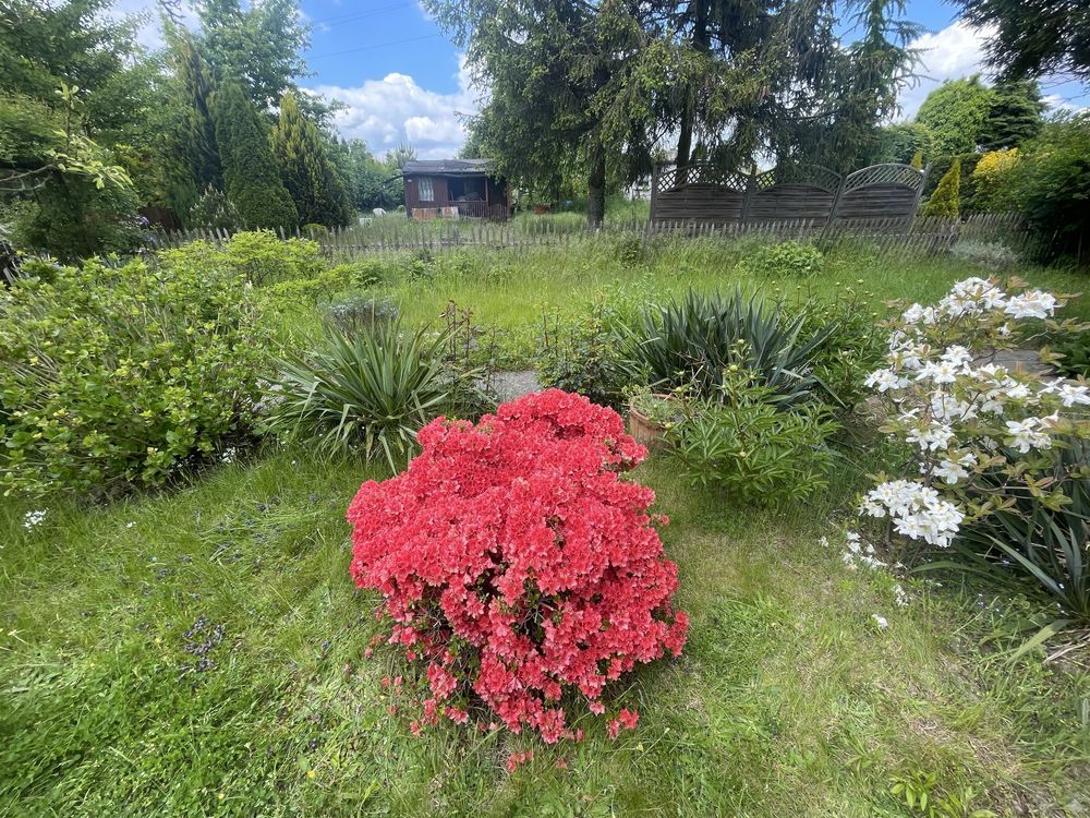 Działka rod Kalisz, ul. Poranna