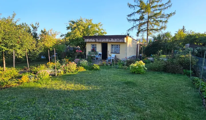 Działka rod Poznań, ul. Serbska