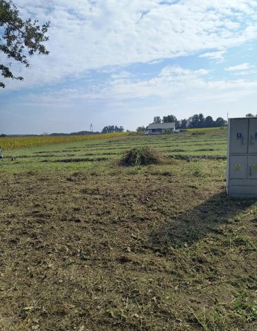 Działka budowlana Dąbrówka Słupska. Zdjęcie 1