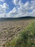 Działka rekreacyjna Szumlin. Zdjęcie 1