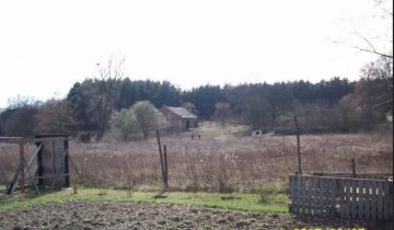 Działka inwestycyjna Sulechów