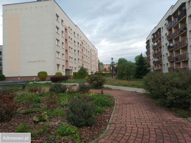 Mieszkanie 2-pokojowe Katowice Józefowiec, ul. Szczecińska. Zdjęcie 1
