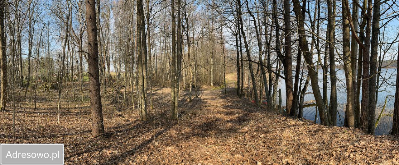 Działka leśna Pluszkiejmy. Zdjęcie 6