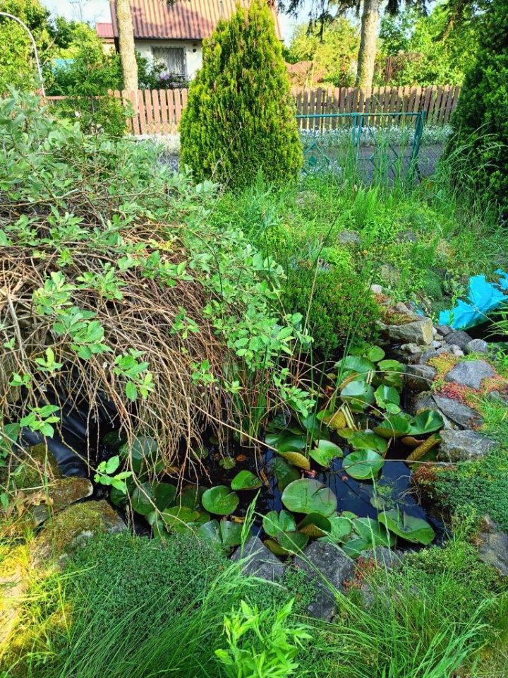 Działka rod Widziszewo, ul. Podgórna. Zdjęcie 7