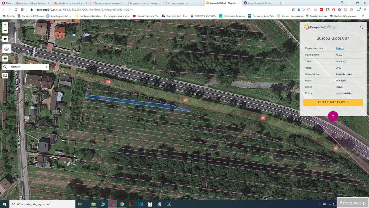 Działka rolna Płaczków. Zdjęcie 12