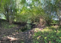 Działka rolna Rudawica. Zdjęcie 4