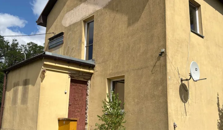 dom wolnostojący Torzym