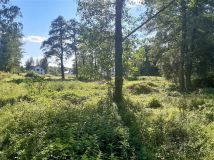 Działka rolno-budowlana Dąbrowa. Zdjęcie 4