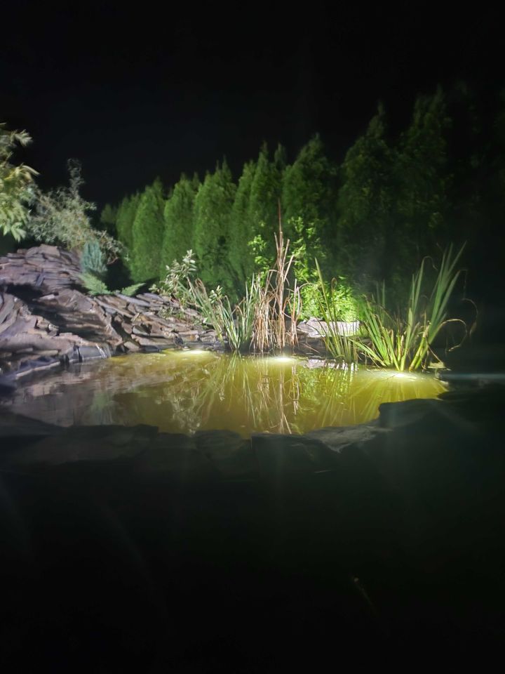 Działka rod Pabianice. Zdjęcie 6