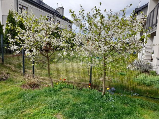 Mieszkanie 3-pokojowe Warszawa Ursynów, ul. Kądziołeczki. Zdjęcie 19