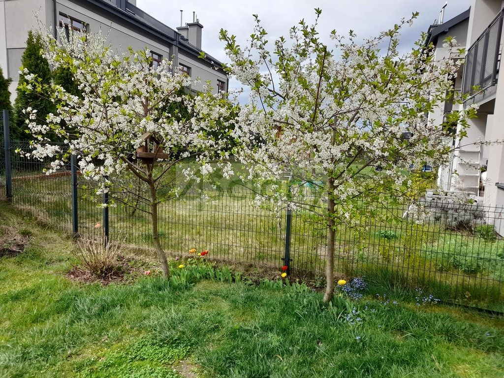 Mieszkanie 3-pokojowe Warszawa Ursynów, ul. Kądziołeczki. Zdjęcie 19