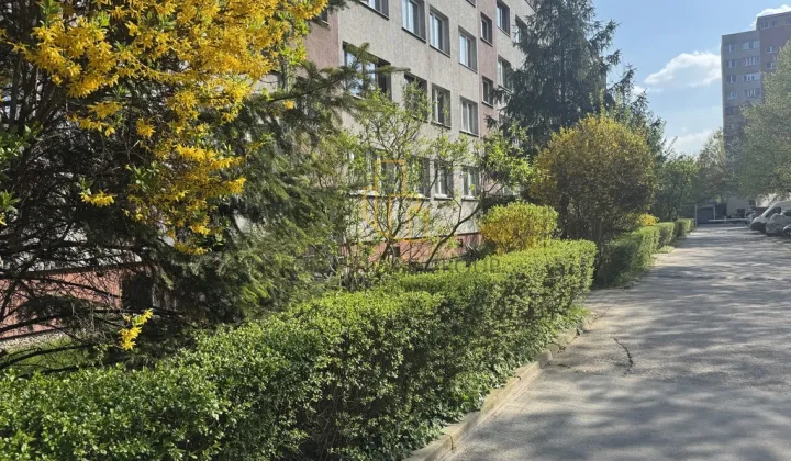 Mieszkanie 4-pokojowe Wrocław Borek, ul. Ślężna