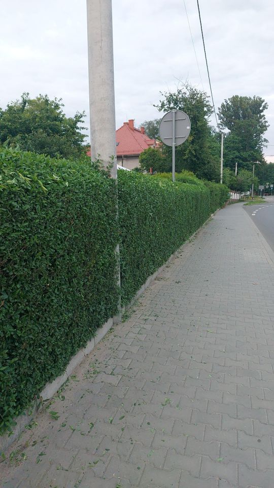 Działka rod Ruda Śląska Wirek, ul. Bielszowicka. Zdjęcie 7