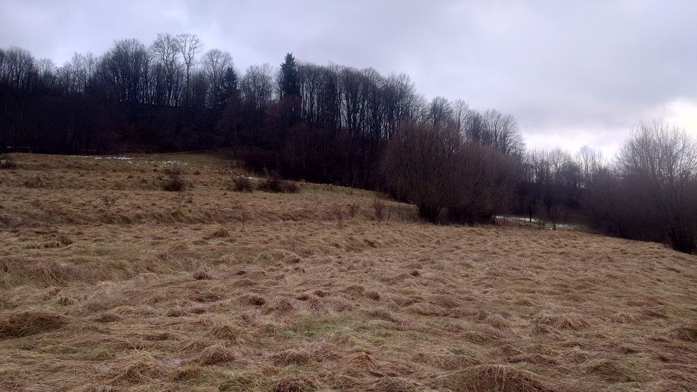 Działka budowlana Mszana Dolna, ul. Grunwaldzka. Zdjęcie 7