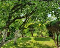 Działka rod Kluczbork. Zdjęcie 1