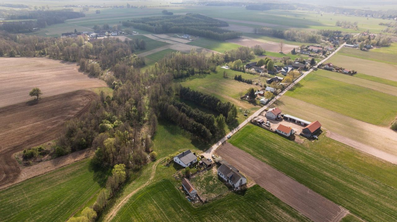 Działka rolno-budowlana Stare Zambski. Zdjęcie 8