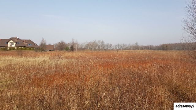 Działka rolna Kamieniec Wrocławski, ul. Siedmiu Krasnoludków. Zdjęcie 1
