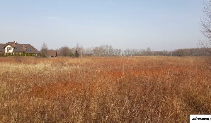 Działka rolna Kamieniec Wrocławski, ul. Siedmiu Krasnoludków