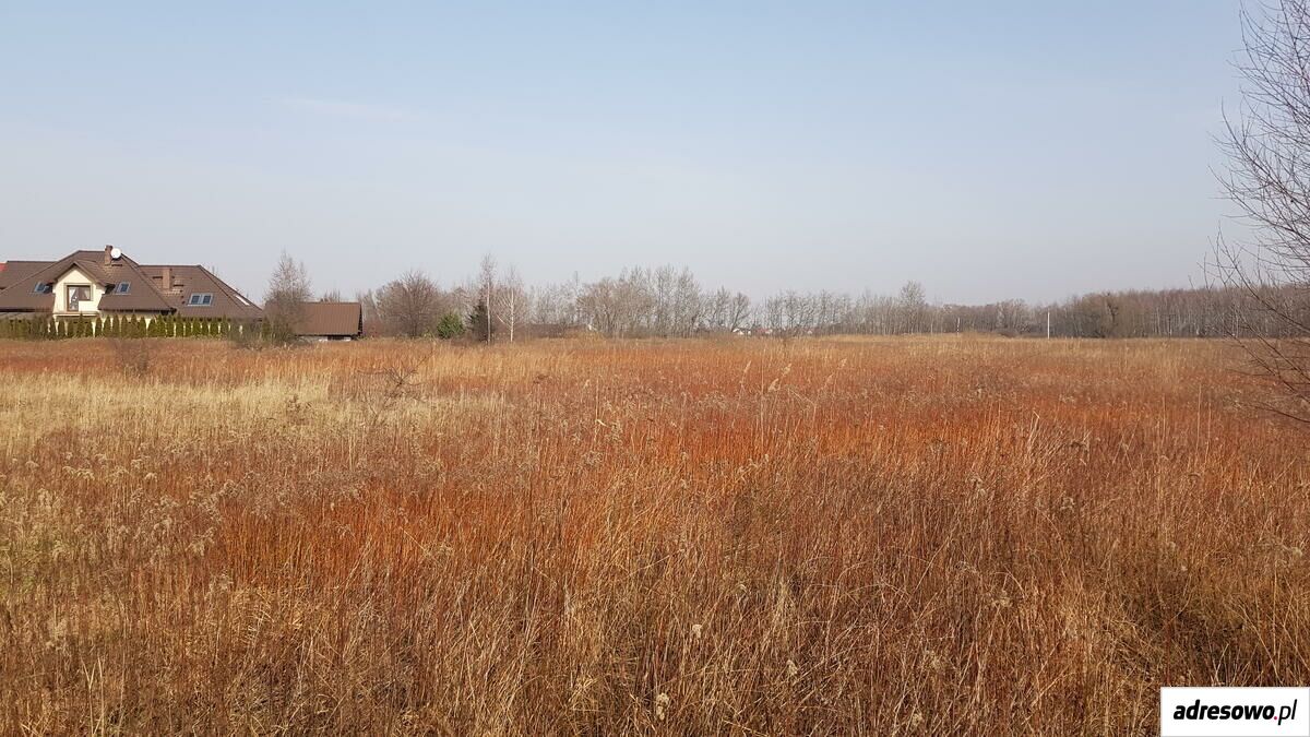 Działka rolna Kamieniec Wrocławski, ul. Siedmiu Krasnoludków. Zdjęcie 1