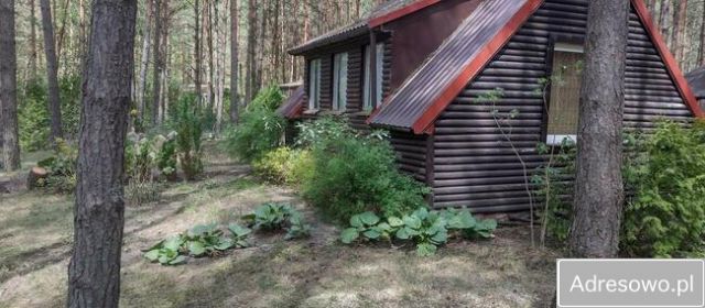 Działka rekreacyjna Ptaki. Zdjęcie 1