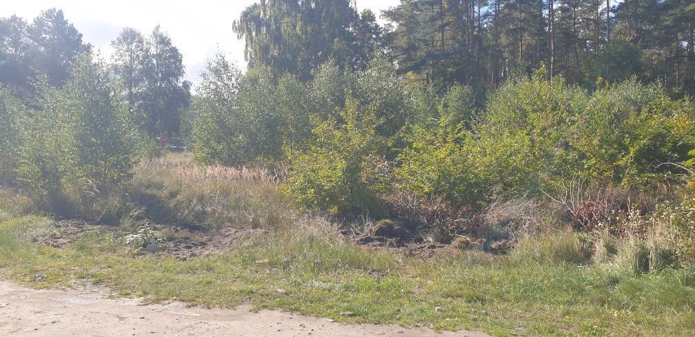 Działka budowlana Obroty. Zdjęcie 7