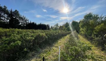 Działka budowlana Podkampinos, ul. Jagodowa