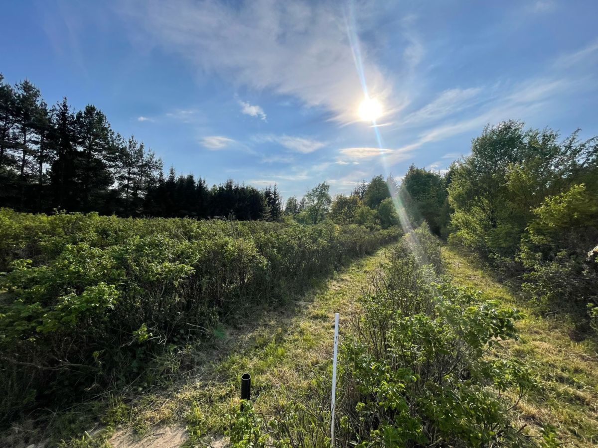 Działka budowlana Podkampinos, ul. Jagodowa