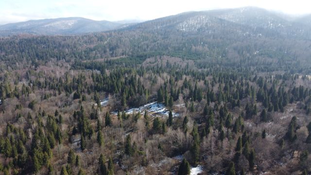 Działka budowlana Strzebowiska. Zdjęcie 4