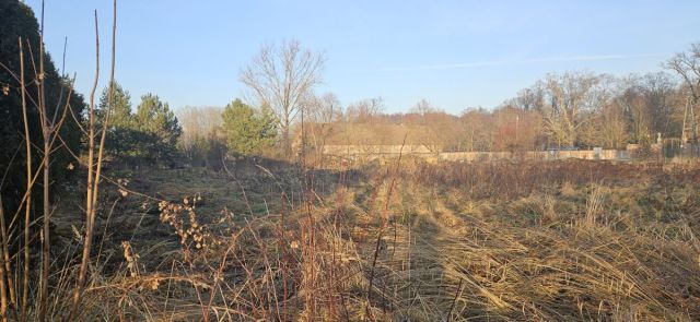 Działka budowlana Chróstnik. Zdjęcie 5